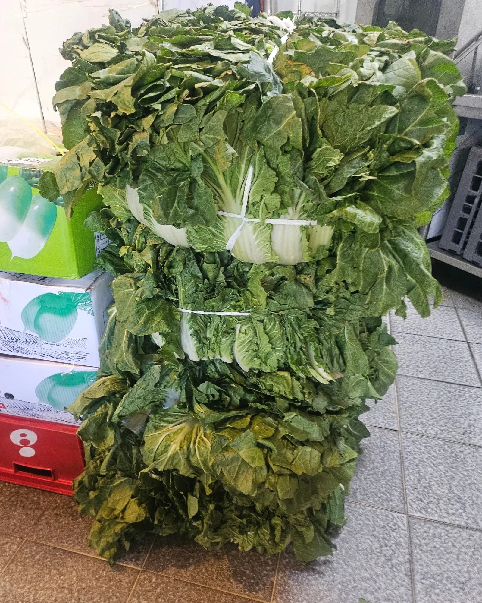 구수한 진국의 비결, 산더미 우거지 손질하는 날!
