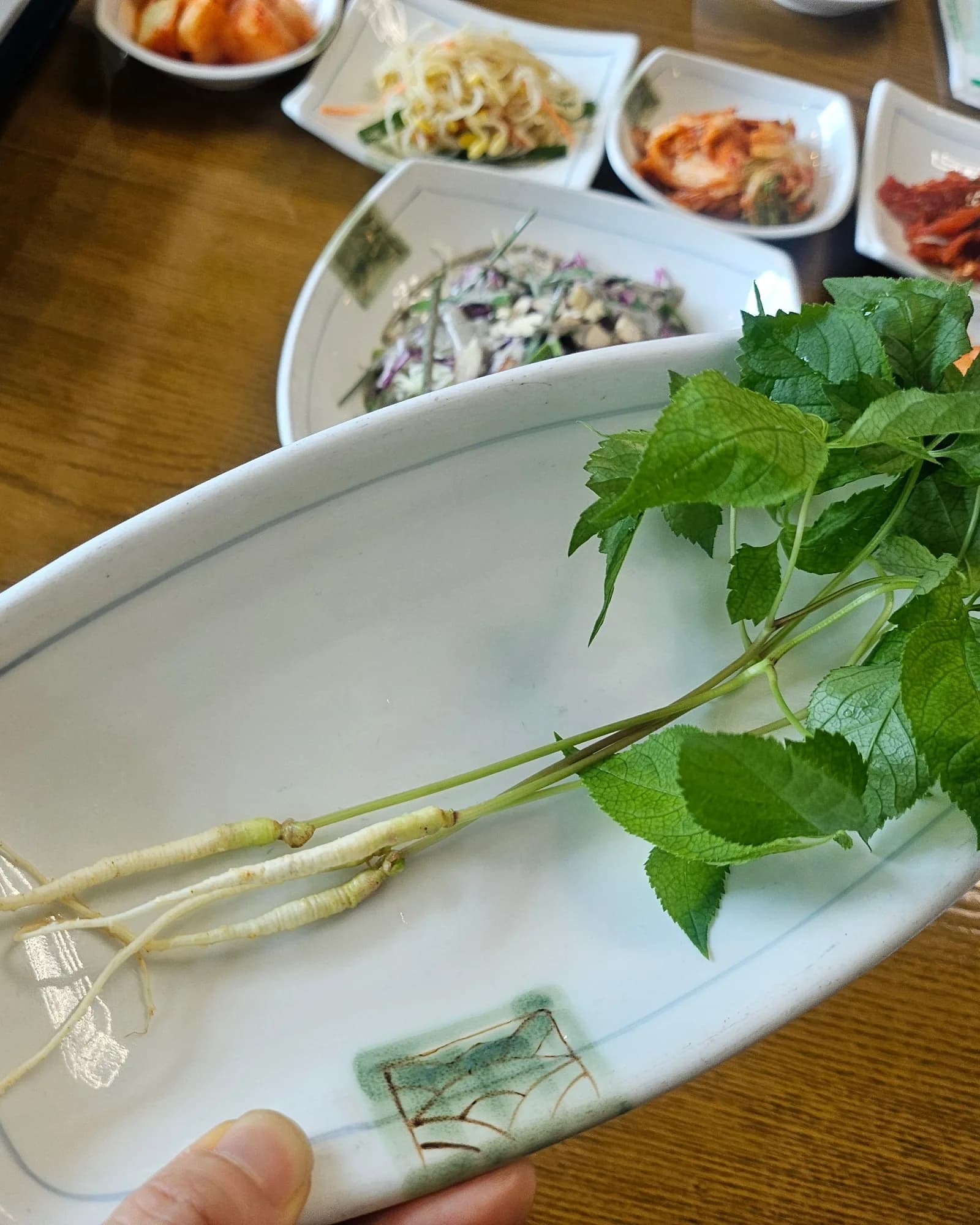 지친 8월의 늦더위를 날려줄 진한 흑염소 전골과 삼 한 뿌리